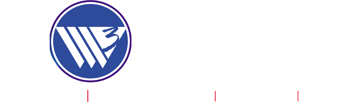 W3 DOMAINS